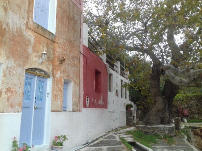 Naxos: Private Minibus Rental with an Experienced Driver - Who Should Consider This Tour?