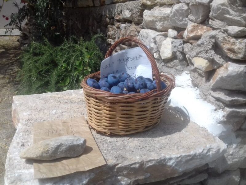 Naxos: Private Minibus Rental with an Experienced Driver - The Sum Up