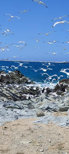 Naxos: West Coastline E-Bike Tour with Sunset Option - A Deeper Look at the West Coastline E-Bike Experience