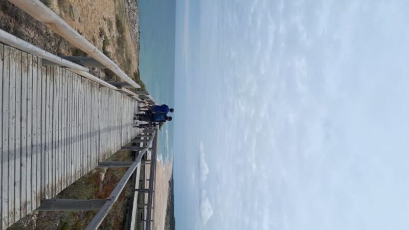 Nazaré: Beaches of Nazaré Guided E-Bike Tour - Reviews That Speak Volumes