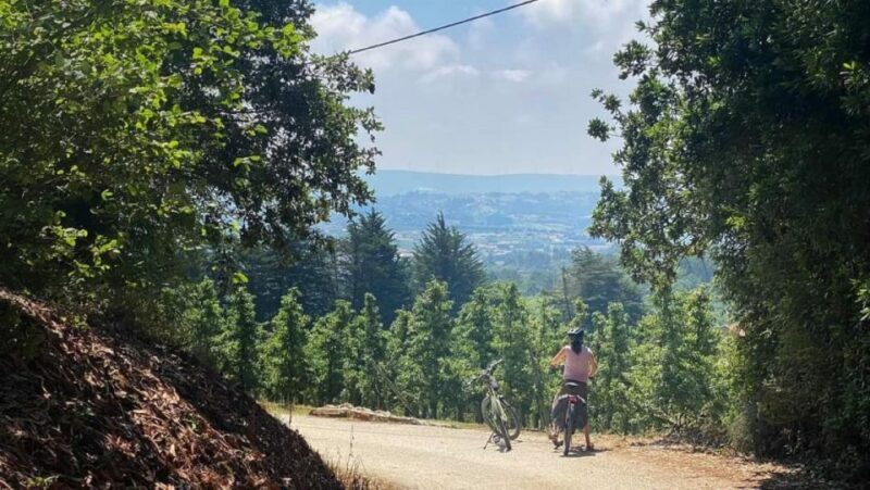 Nazaré E-Bike Tour - Off Road Coast Tour - Who Should Book This Tour?