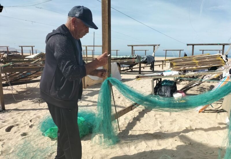 Nazaré (Giant Waves): Half-Day Private Tour from Lisbon - Optional Lunch or Extended Exploration