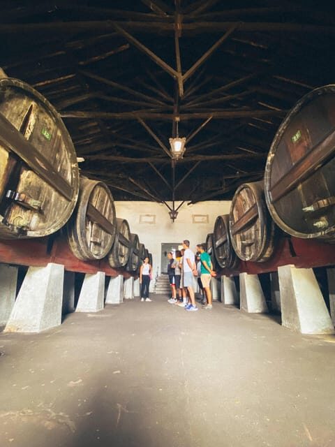 Nazaré - Óbidos E-bike and Wine tour - Nazaré - Óbidos E-bike and Wine Tour Review