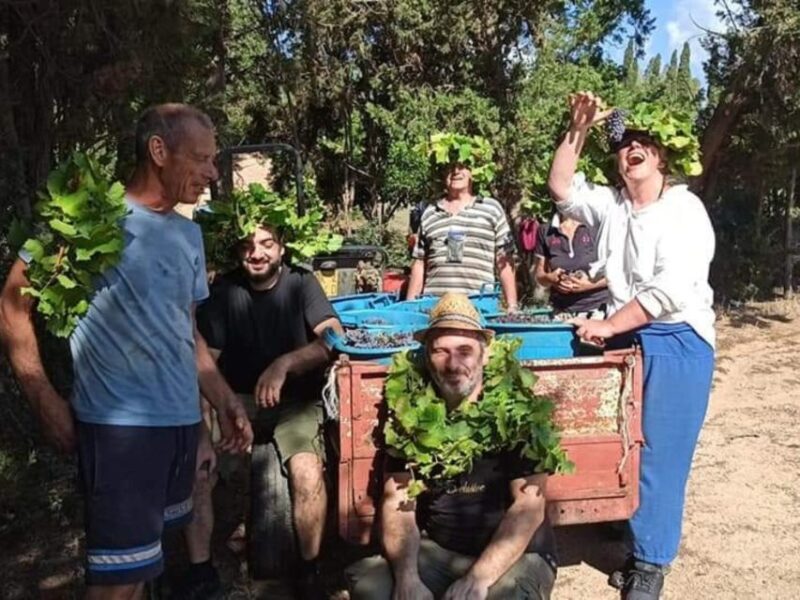 Near Cagliari: The World of Natural Wine at "In Our Garden" - The Sum Up