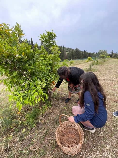 Near Cagliari: Wild Herbs and Healing at "In Our Garden" - Who Should Consider This Tour?
