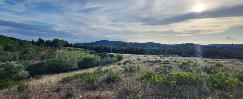 Near Cagliari: Wild Herbs and Healing at "In Our Garden" - The Sum Up