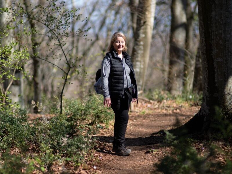 Near Rome: Hike in the ancient UNESCO-heritage forest - Setting the Scene: What to Expect