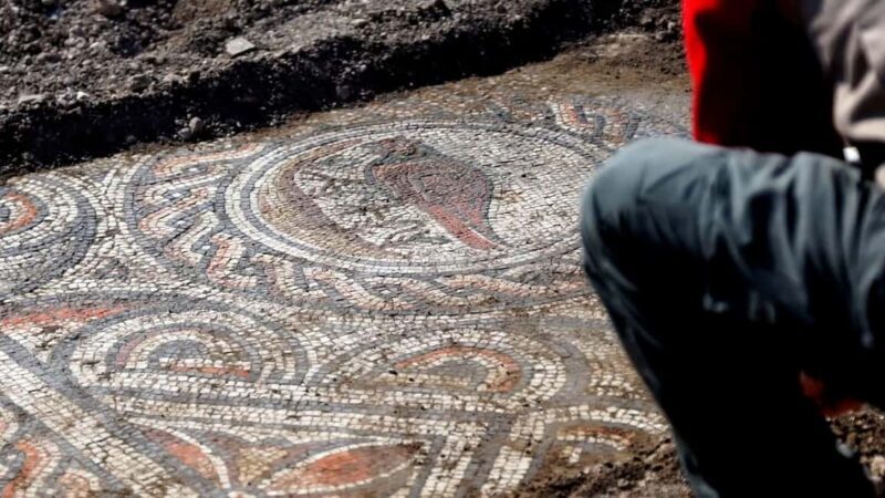 Negrar: Roman Villa Mosaics Tour & Valpolicella Wine Tasting - Exploring the Roman Villa and Its Mosaics
