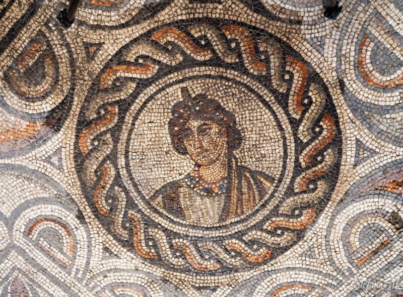 Negrar: Roman Villa Mosaics Tour & Valpolicella Wine Tasting - What You Might Want to Know