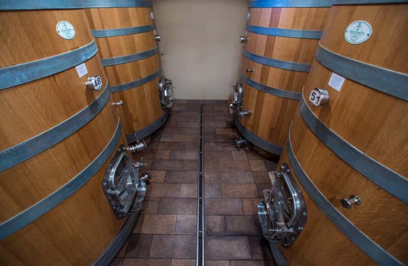 NEIVE: WINERY TOUR AND TASTING OF 5 WINES - What We Loved and Noticed