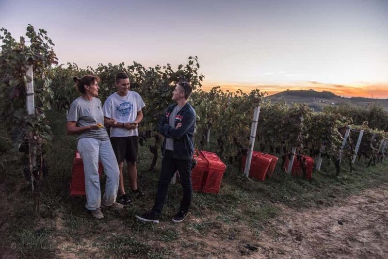 NEIVE: WINERY TOUR AND TASTING OF 5 WINES - Who Should Consider This Tour?