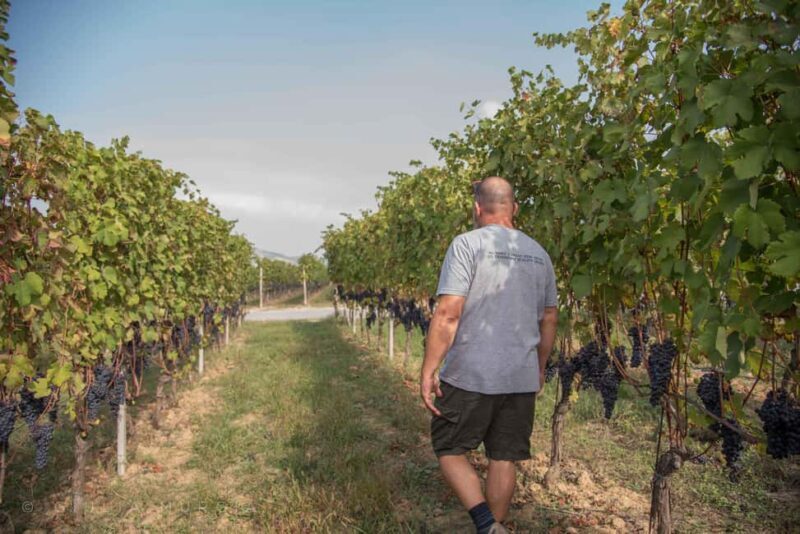 NEIVE: WINERY TOUR AND TASTING OF 5 WINES - Final Thoughts