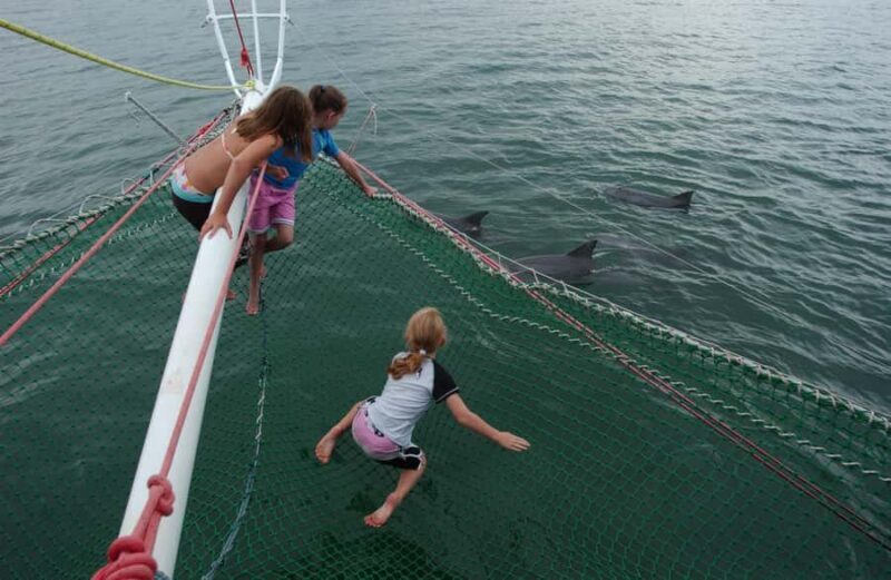 Nelson Bay: Dolphin Watch Cruise and Sail - Setting the Scene: What’s the Tour All About?