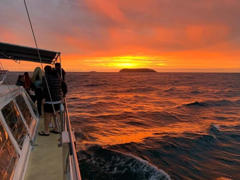 Nelson Bay: Whale and Dolphin Watching Catamaran Cruise - Weather and Sea Conditions