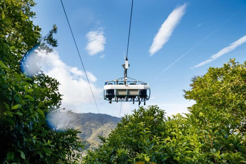 Nelson: Cable Bay Adventure Park Skywire Experience - What Reviewers Say