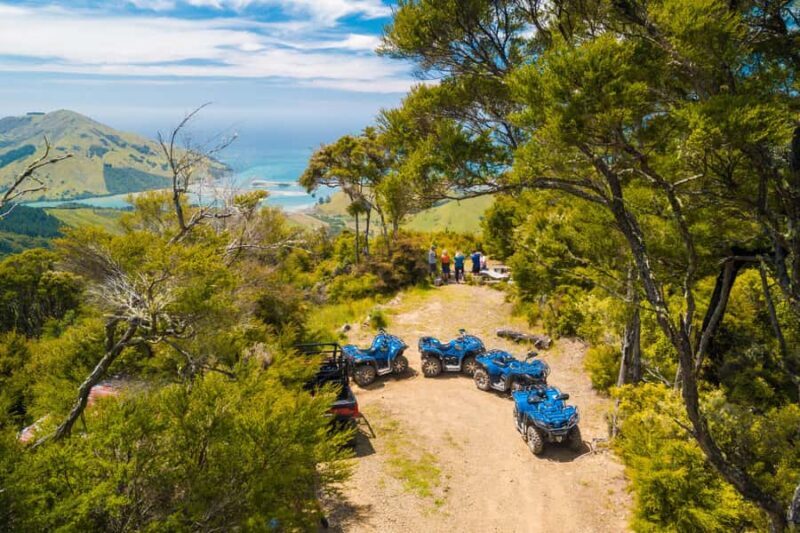 Nelson: Guided Quad Biking Tour Through Forest and Farmland - What to Expect from the Quad Biking Tour