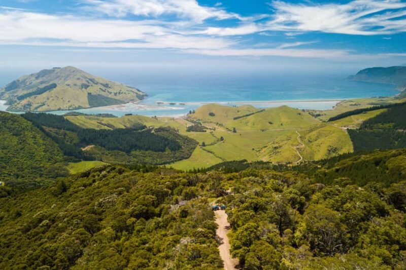 Nelson: Guided Quad Biking Tour Through Forest and Farmland - Who Will Love This Tour?