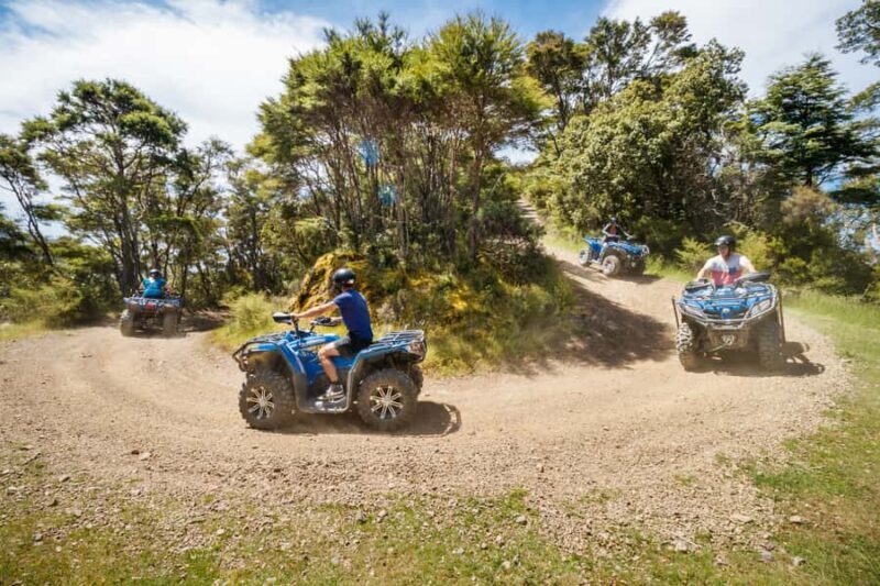 Nelson: Guided Quad Biking Tour Through Forest and Farmland - FAQs