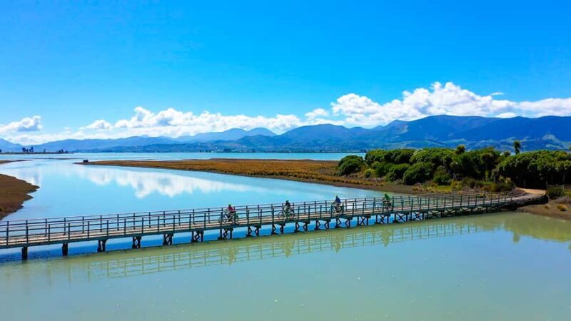 Nelson to Mapua: Full-Day Cycling Self-Guided Adventure - Key Points