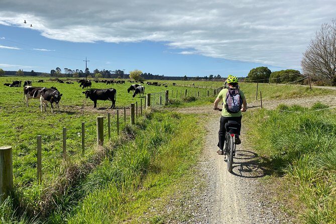 Nelson to Mapua: Full-Day Self-Guided Cycling Adventure - Who Is This Tour Perfect For?