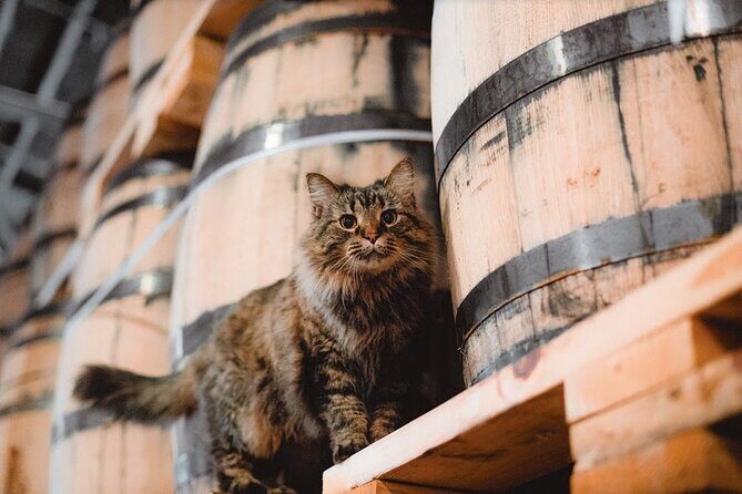 Nelson's Green Brier Distillery Guided Tour with Tastings - The Experience: Atmosphere, Group Size, and Logistics