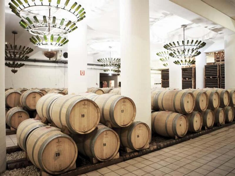 Nemea: Wine Tasting Tour with Local Dishes - What Makes This Tour Stand Out