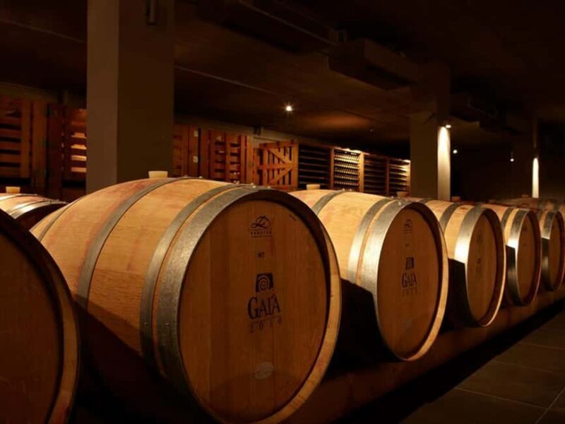 Nemea: Wine Tasting Tour with Local Dishes - FAQ