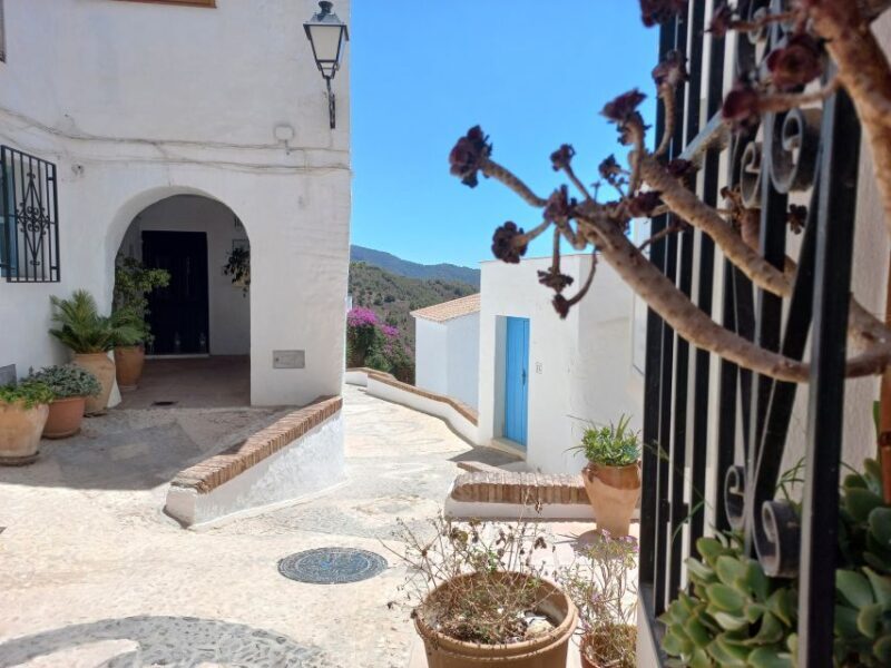 Nerja, Frigiliana & El Acebuchal: Full-Day Semi-Private Tour - Who Is This Tour Best For?