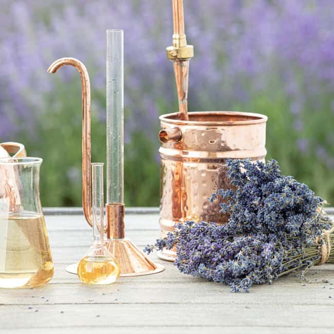 Nerja: Perfume Workshop: create your 30ml Eau de Parfum - FAQs