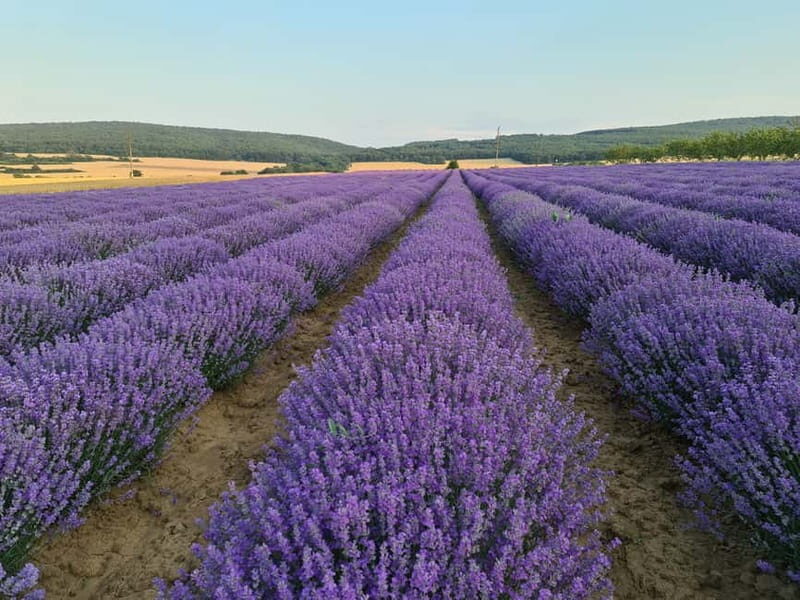 Nessebar: Old Town Photo Spots Mobile Map and Route - The Reality Check: What the Reviews Say