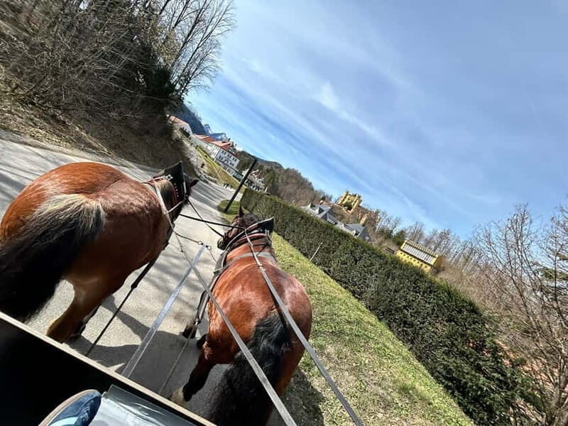 Neuschwanstein Castle Skip-the-Line Ticket with Audio Guide - Who Will Get the Most Out of This Tour?