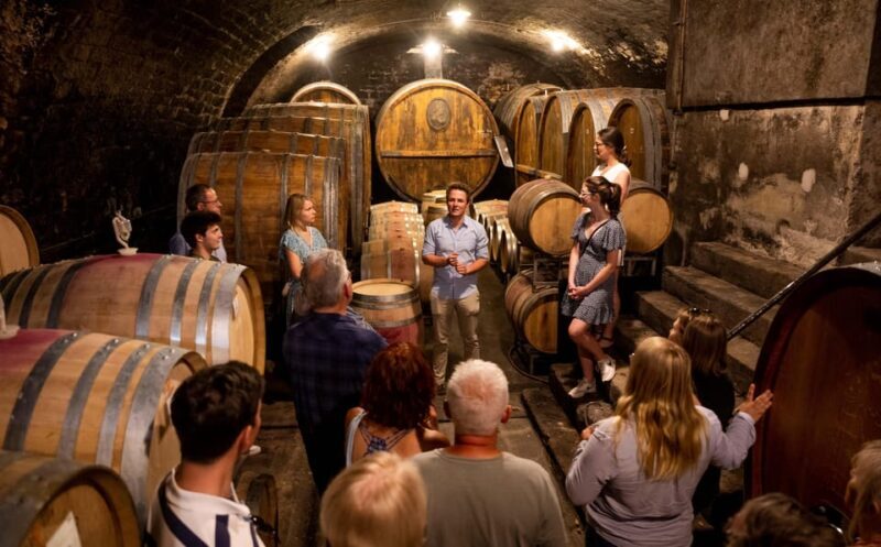 Neustadt: Wine tasting with cellar tour and vineyard tour - The tasting experience