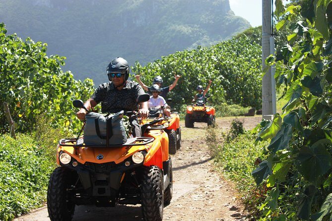 NEW!!! ATV TOURS with a local tour guide from Bora Bora - What to Expect on the Bora Bora ATV Tour
