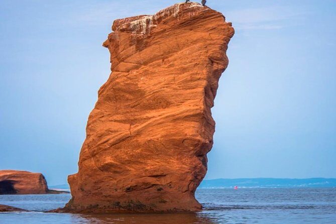 New Brunswick Shore Excursion: Bay of Fundy and More Highlights Tour - An Overview of the Tour Experience