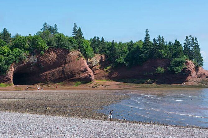 New Brunswick Shore Excursion: Bay of Fundy and More Highlights Tour - Practical Details