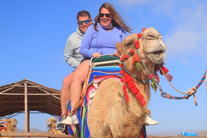 NEW! Combo Camel Beach Ride and UTV 4X4 Cabo Adventure, Tequila & - Final Thoughts