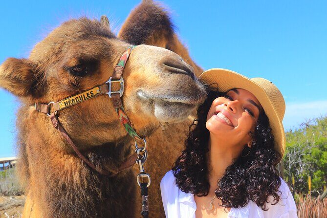 NEW! Combo Camel Beach Ride and UTV 4X4 Cabo Adventure, Tequila & - Frequently Asked Questions