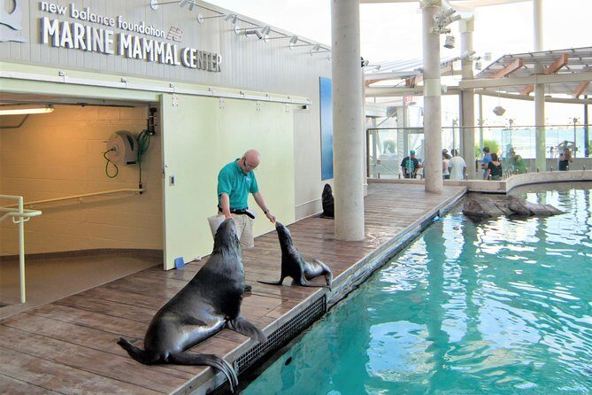 New England Aquarium Admission Ticket in Boston - A Closer Look at the Aquarium Experience