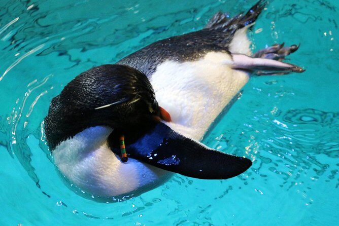 New England Aquarium Admission Ticket in Boston - Who is This Aquarium Best For?