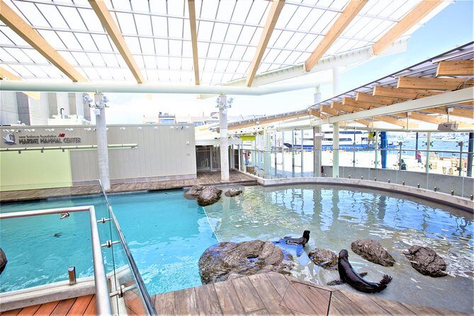 New England Aquarium Admission Ticket in Boston - Final Thoughts