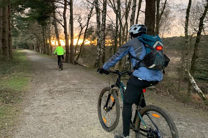 New Forest Sunset Bike Rides - What’s Included and How It Works
