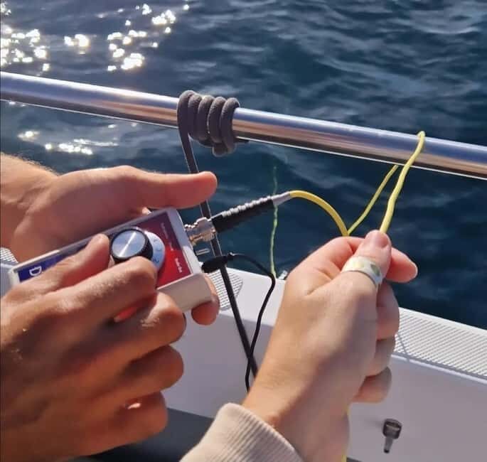 New: Into the Wild - 3H w/Marine Biologists - dolphins &more - FAQ