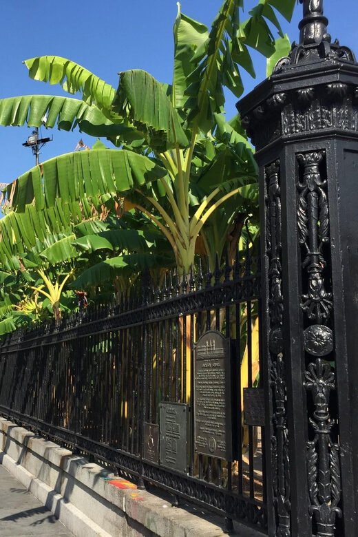 New Orleans: 45 Minutes in Jackson Square - The Details: What to Know Before You Go