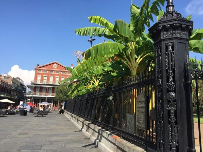 New Orleans: 45 Minutes in the French Quarter - What to Expect from This Tour