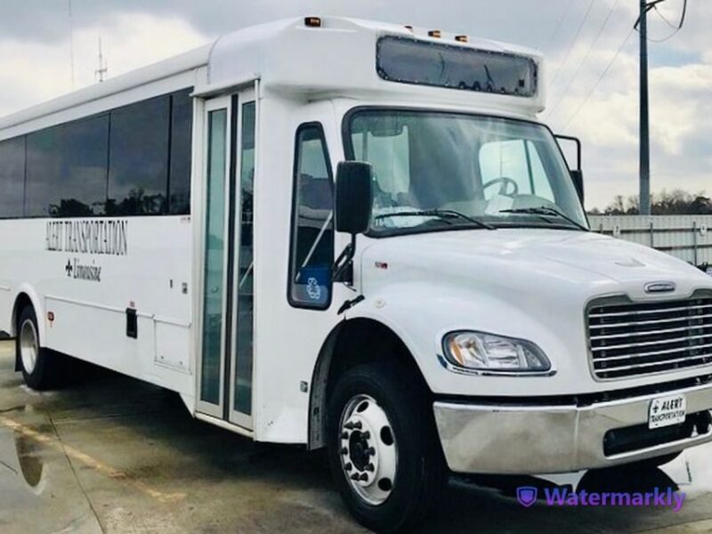 New Orleans: Airboat Swamp & City and Katrina Tour Combo - What You Can Expect from the Tour