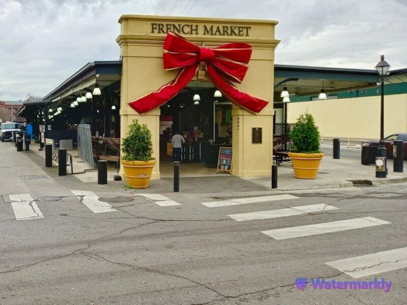 New Orleans: Airboat Swamp & City and Katrina Tour Combo - Authentic Experiences from Real Travelers