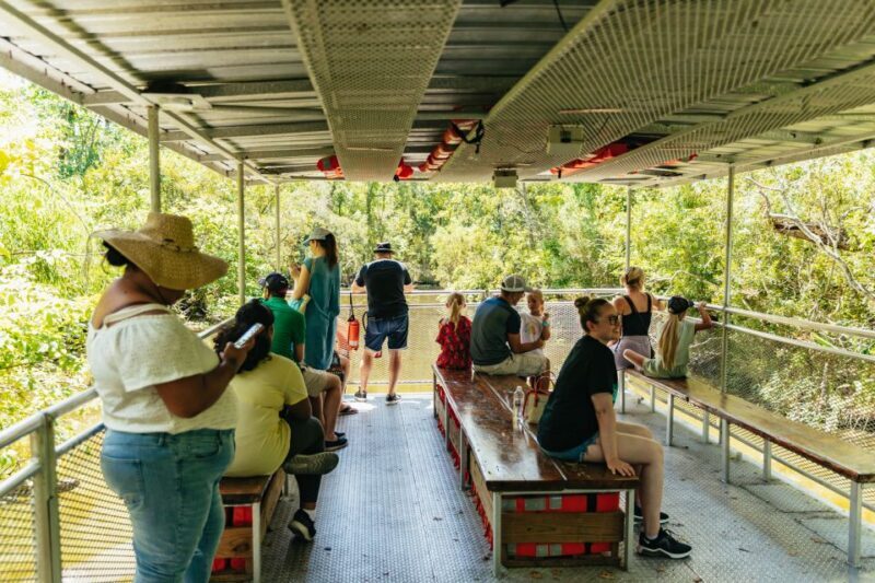 New Orleans: Bayou Tour in Jean Lafitte National Park - What to Expect from Your Swamp Adventure