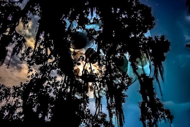 New Orleans Dead of Night Ghosts and Cemetery Bus Tour - Who Is This Tour Best For?