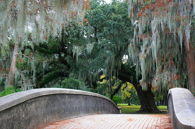New Orleans Favorites and Creole Culture VIP Tour - Reflecting on History at Katrina Memorial and Tremé