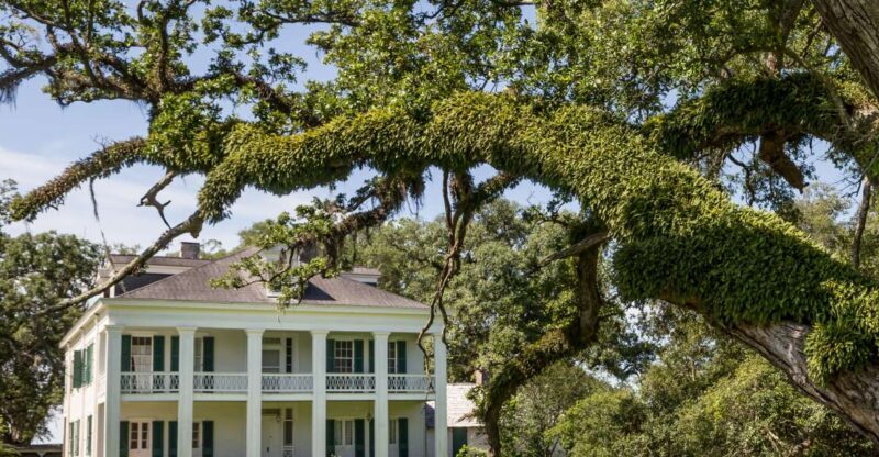 New Orleans: Felicity Plantation Guided Tour - The Value of the Experience